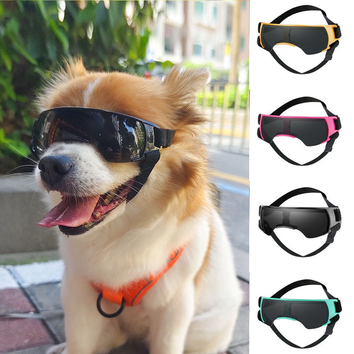 Goggles UV pour chiens – Protection soleil, style casual