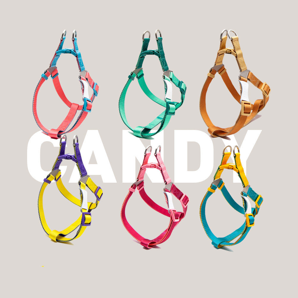 Set Harnais Poitrine & Laisse Bicolore pour Chien — Nylon | S, M & L