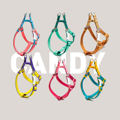 Set Harnais Poitrine & Laisse Bicolore pour Chien — Nylon | S, M & L