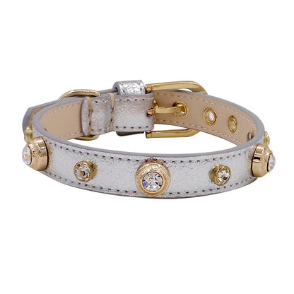 Collier Texturé Multicolore pour Chien — Motifs Lézard, Croco & Lychee | XXS à L