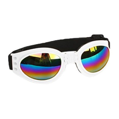 Lunettes anti-vent pour chiens – Idéales pour photos & sorties