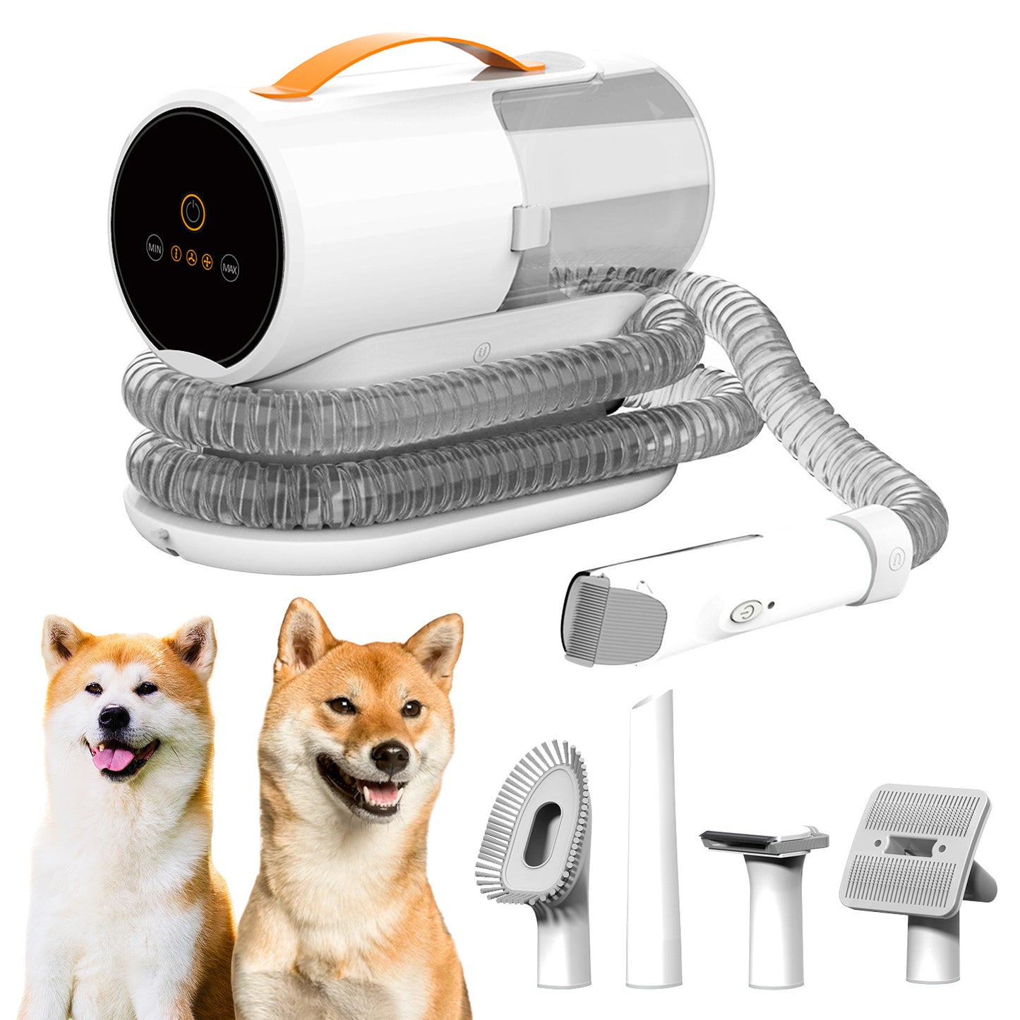Aspirateur Silencieux pour Animaux — Poils & Toilettage 600W