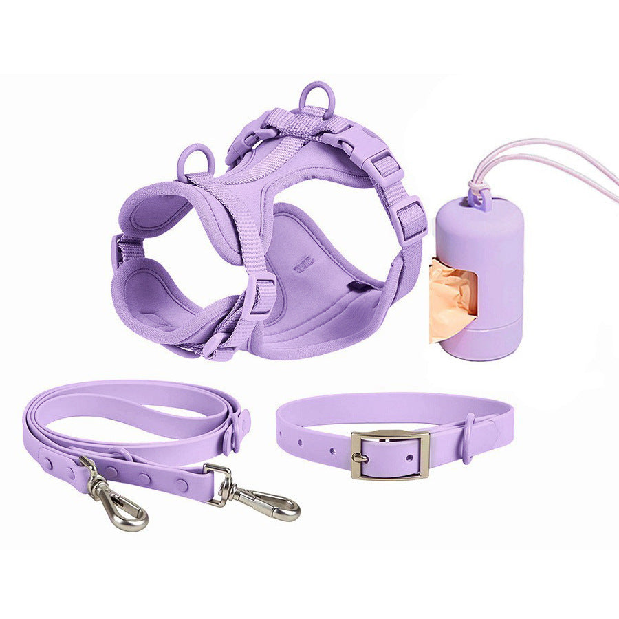 Set 4 Pièces pour Chien — Collier, Laisse, Harnais & Gamelle | Imperméable