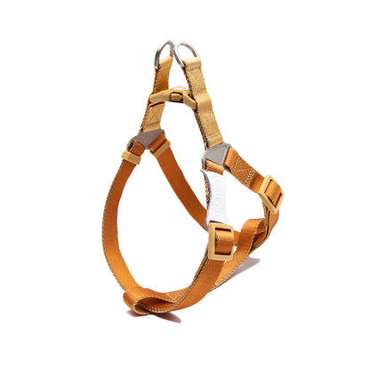 Set Harnais Poitrine & Laisse Bicolore pour Chien — Nylon | S, M & L