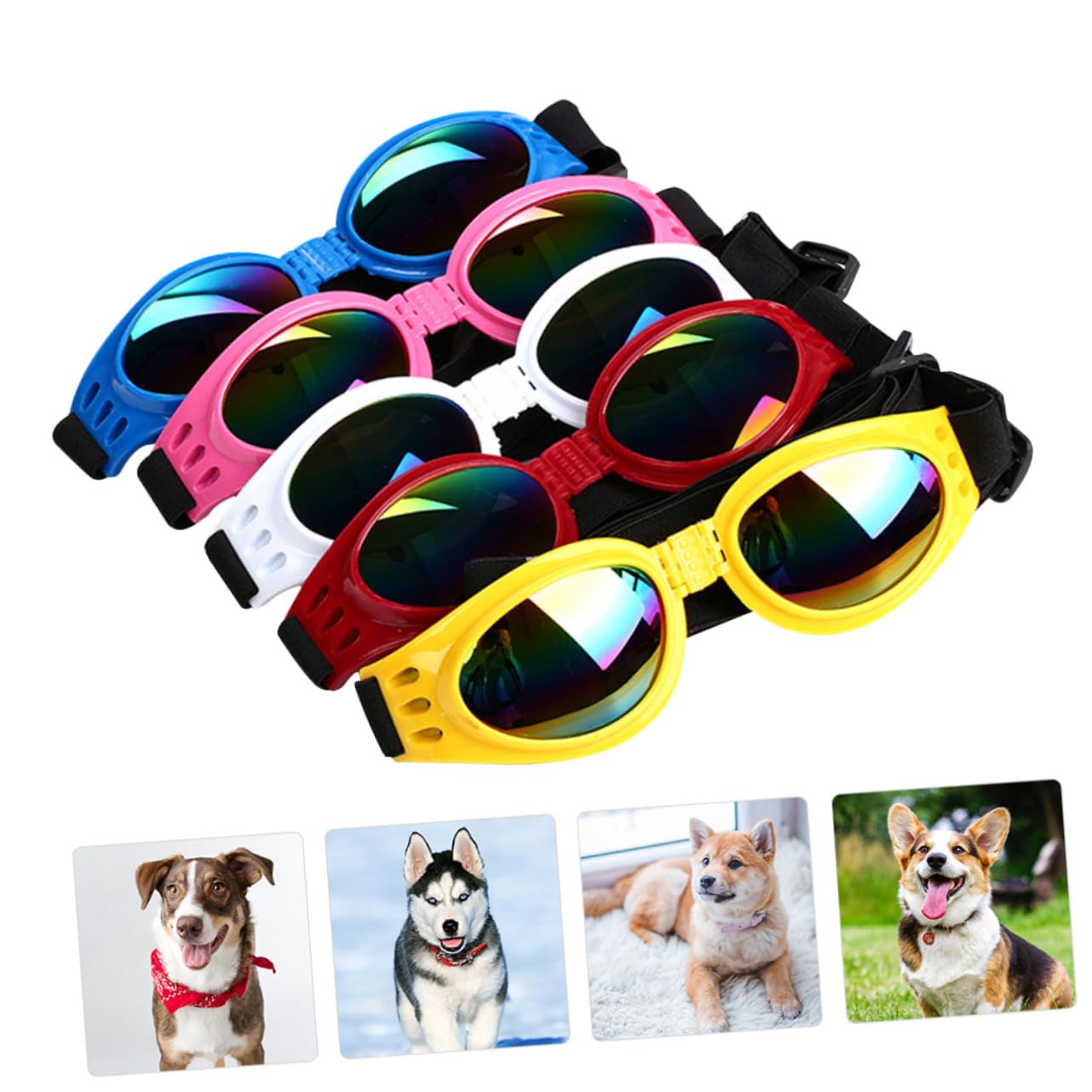 Lunettes anti-vent pour chiens – Idéales pour photos & sorties