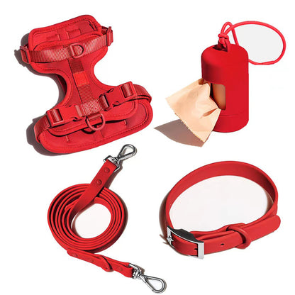 Set 4 Pièces pour Chien — Collier, Laisse, Harnais & Gamelle | Imperméable