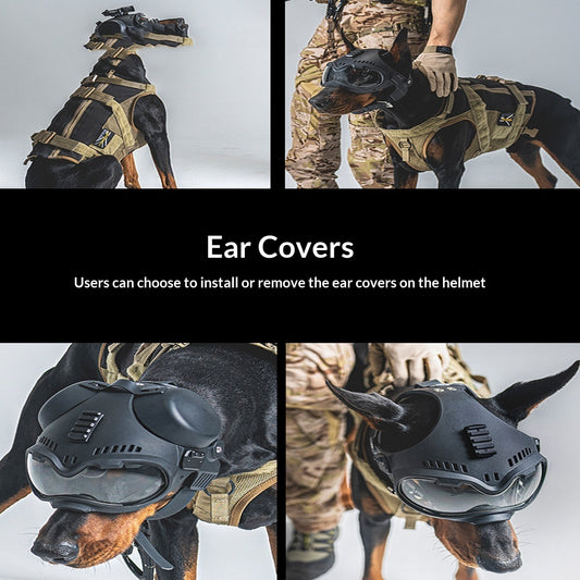 Masque Tactique K9 avec Lunettes de Protection pour Chien — Toutes Saisons