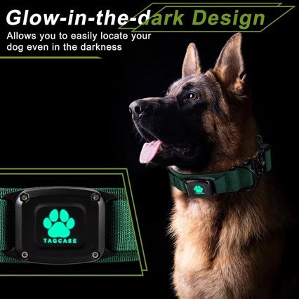 Collier Tactique Ajustable pour Grand Chien — Anti-Fugue