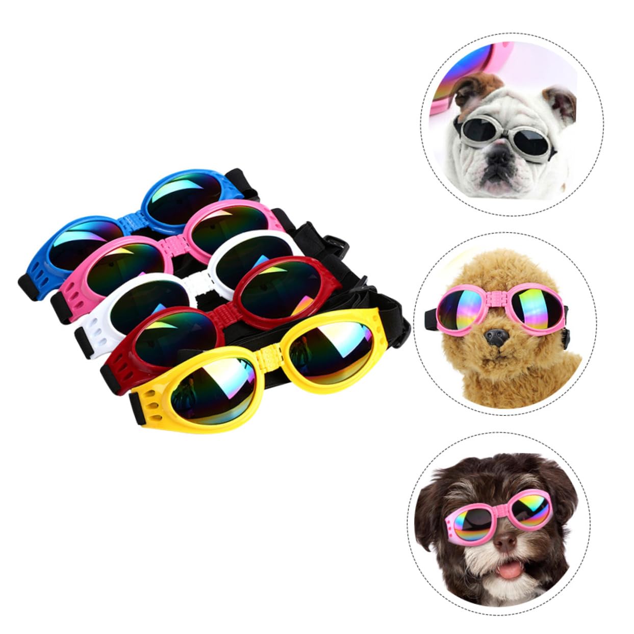 Lunettes anti-vent pour chiens – Idéales pour photos & sorties