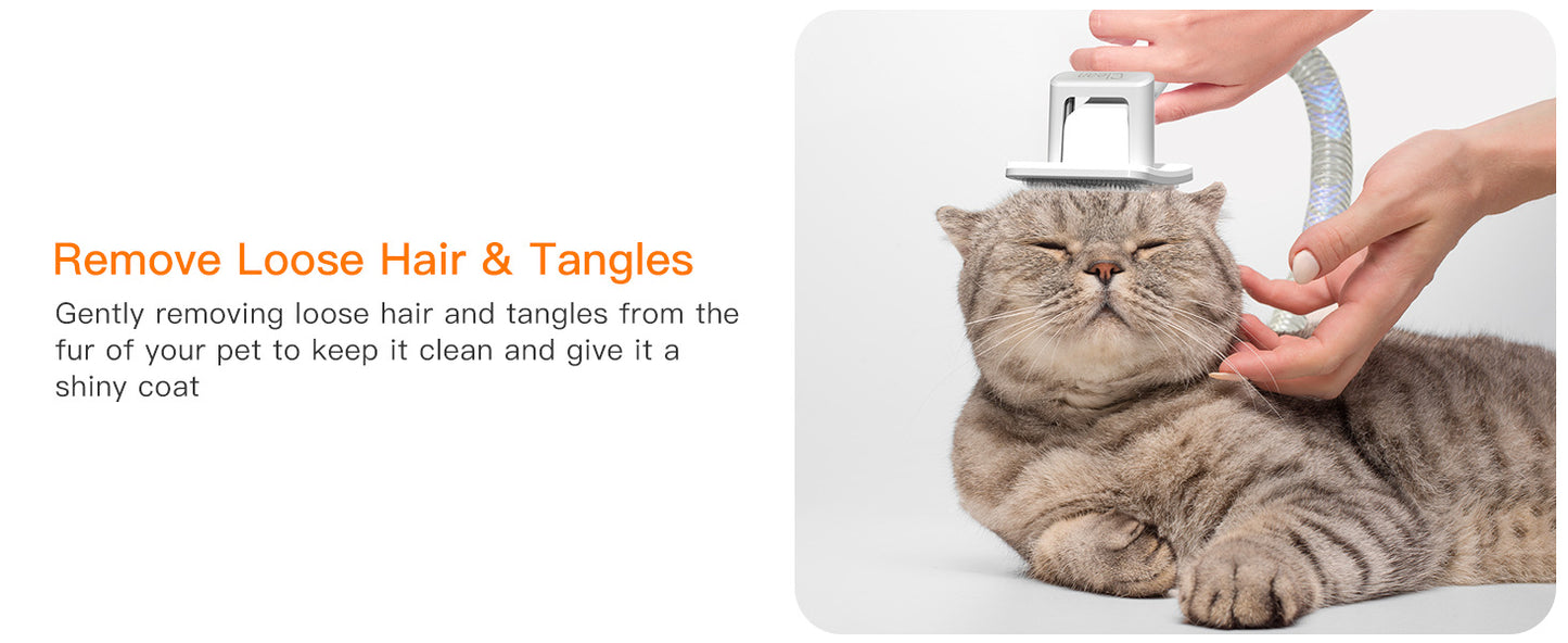 Aspirateur Silencieux pour Animaux — Poils & Toilettage 600W