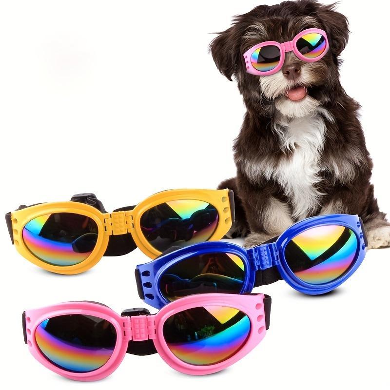 Lunettes anti-vent pour chiens – Idéales pour photos & sorties