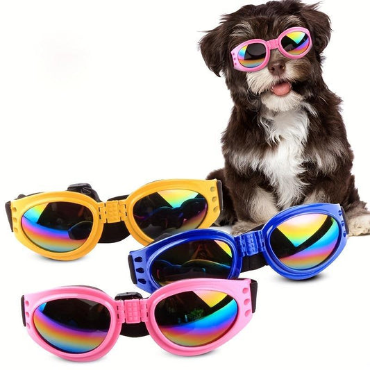 Lunettes anti-vent pour chiens – Idéales pour photos & sorties