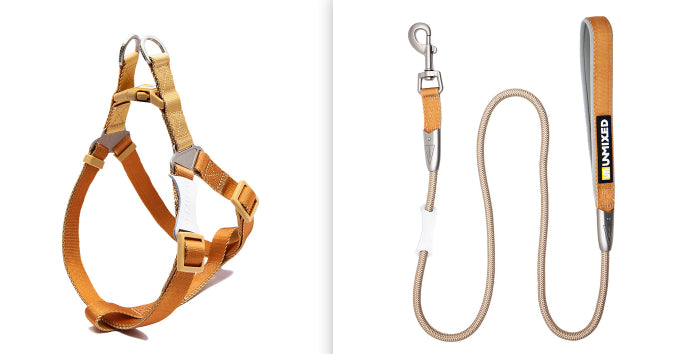 Set Harnais Poitrine & Laisse Bicolore pour Chien — Nylon | S, M & L