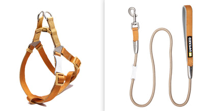 Set Harnais Poitrine & Laisse Bicolore pour Chien — Nylon | S, M & L