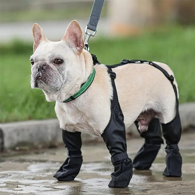 Chaussures Imperméables pour Chien – Semelle Antidérapante, Lot de 4