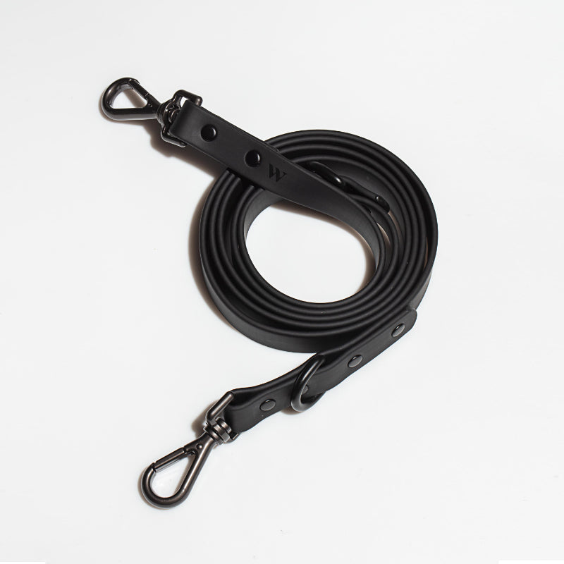Laisse Imperméable Macaron pour Chien — Nylon Enduit Élastique