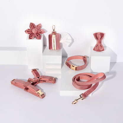 Set 6 Pièces Velours pour Chien — Collier, Laisse, Harnais, Nœud Papillon & Fleur