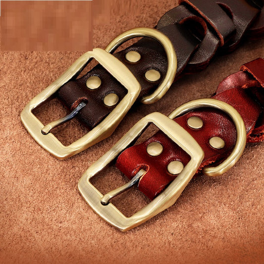 Collier en Cuir Véritable Tressé pour Grand Chien — Boucle Zinc