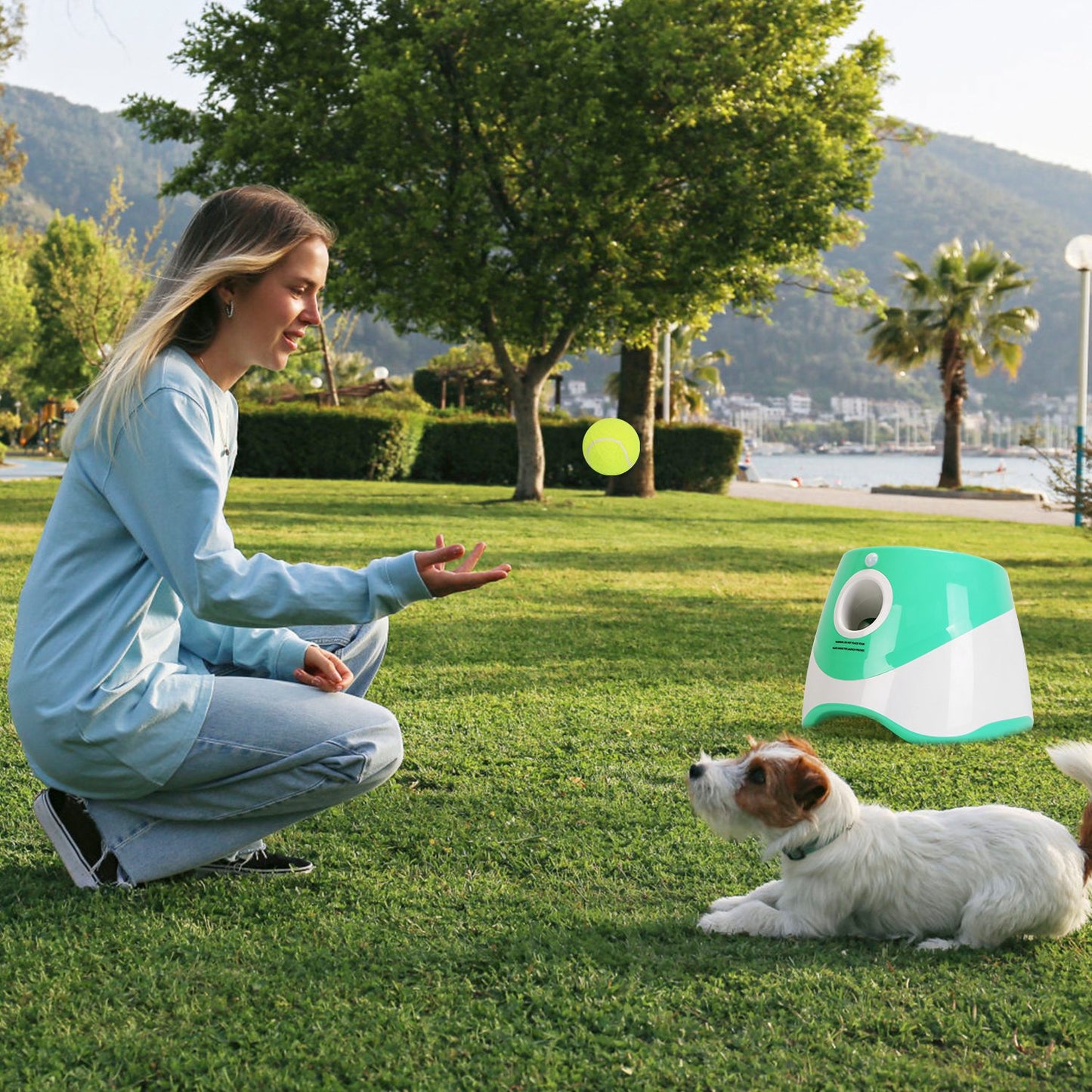 Automatic Dog Ball Launcher – 3 Distances, 6 Balls Included