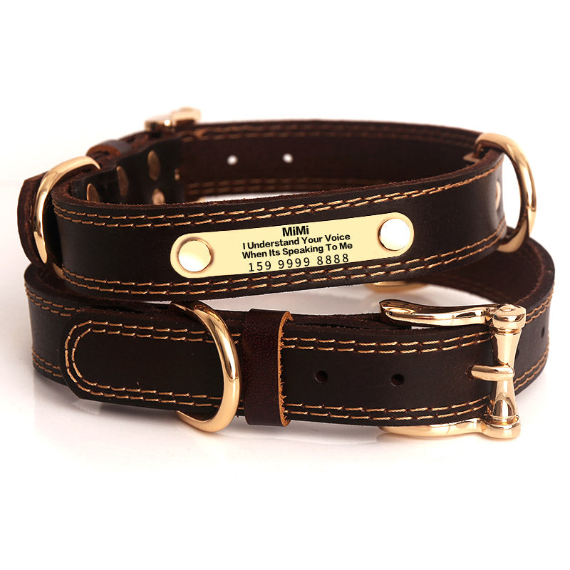 Collier en Cuir Véritable avec Plaque Gravée pour Chien — Personnalisable