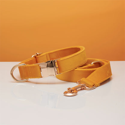 Ensemble Collier & Laisse en Velours avec Nœud Papillon pour Chien
