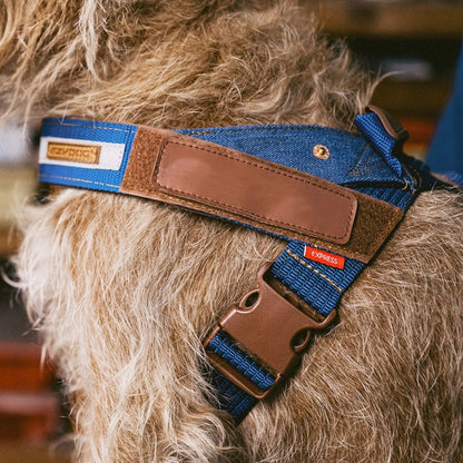 Harnais Réfléchissant pour Chien – Sécurité Nocturne Style Cowboy