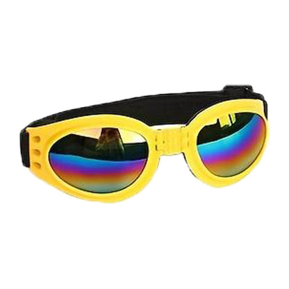 Lunettes anti-vent pour chiens – Idéales pour photos & sorties