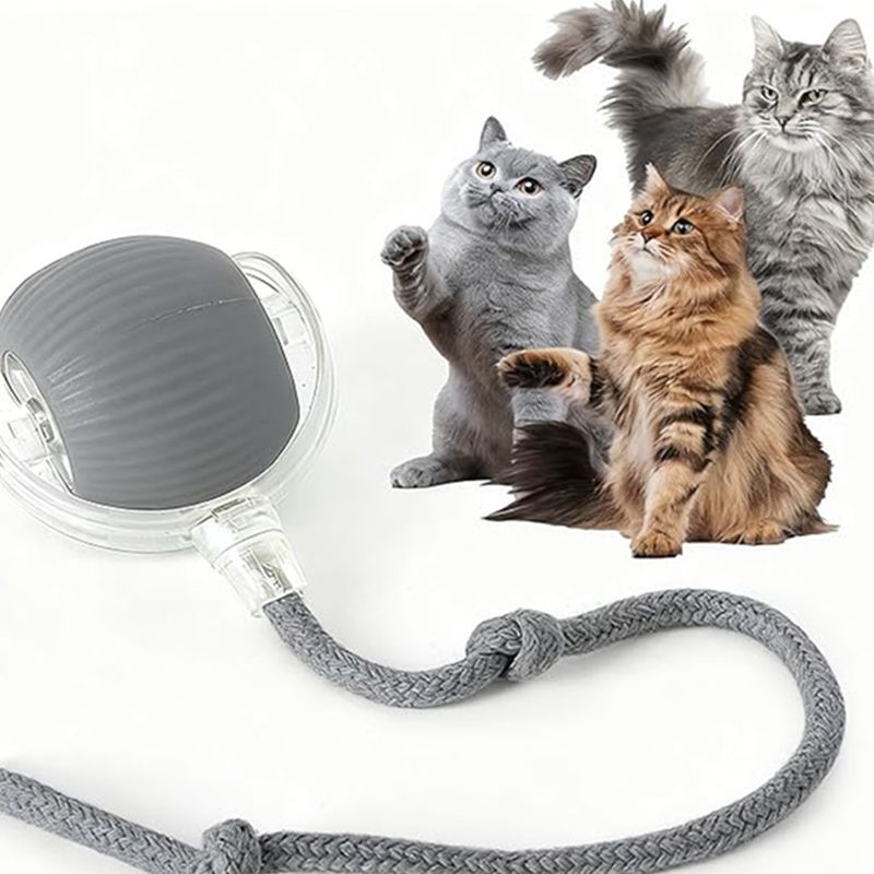 Balle Interactive Intelligente pour Chat & Chien — 3 Modes, Capteur & Recharge Rapide