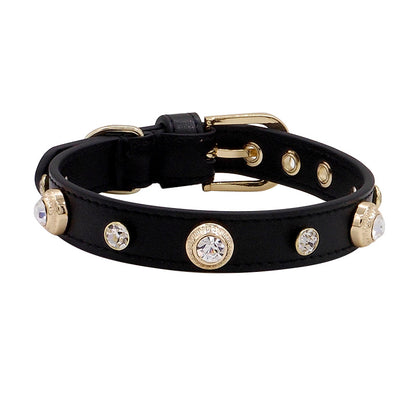 Collier Texturé Multicolore pour Chien — Motifs Lézard, Croco & Lychee | XXS à L