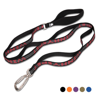 Laisse Nylon Bicolore pour Chien — Tailles M & L