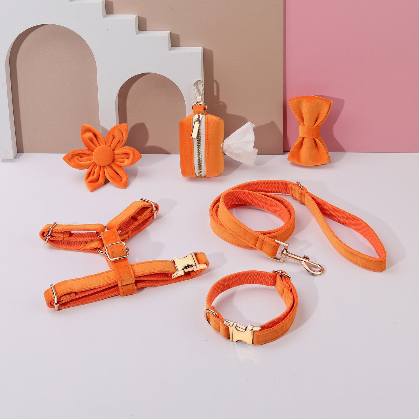 Set 6 Pièces Velours pour Chien — Collier, Laisse, Harnais, Nœud Papillon & Fleur