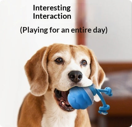 Balle Intelligente Rechargeable pour Chien — Mouvement Automatique