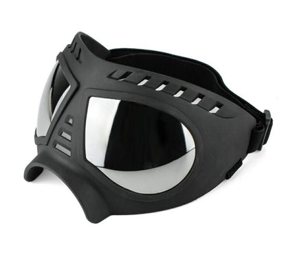 Lunettes de soleil pour chiens – Protection UV (taille L)