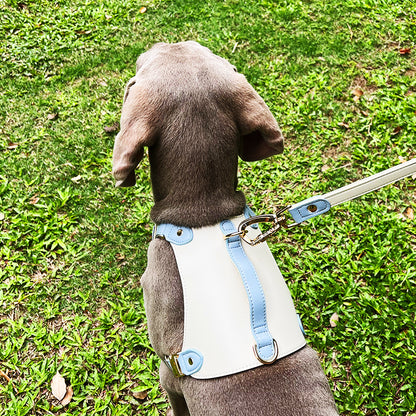 Harnais Vest en Cuir avec Laisse Assortie pour Chien — S, M, L