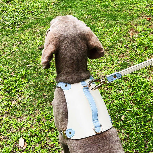 Harnais Vest en Cuir avec Laisse Assortie pour Chien — S, M, L