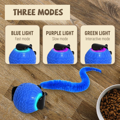 Balle Interactive Auto-Roulante pour Chat — Souris & Cordon Inclus