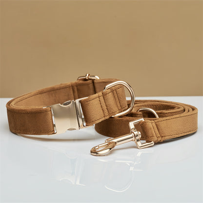 Ensemble Collier & Laisse en Velours avec Nœud Papillon pour Chien