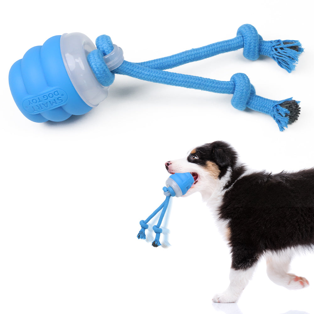 Balle Électrique avec Laisse Intégrée pour Chien – Petites et Moyennes Races
