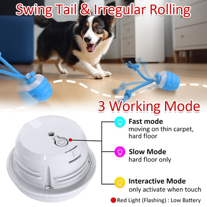Balle Électrique avec Laisse Intégrée pour Chien – Petites et Moyennes Races