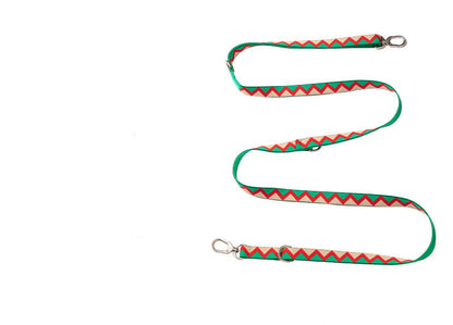 Laisse Multifonction Mains Libres Arc-en-Ciel pour Chien — Nylon Ajustable