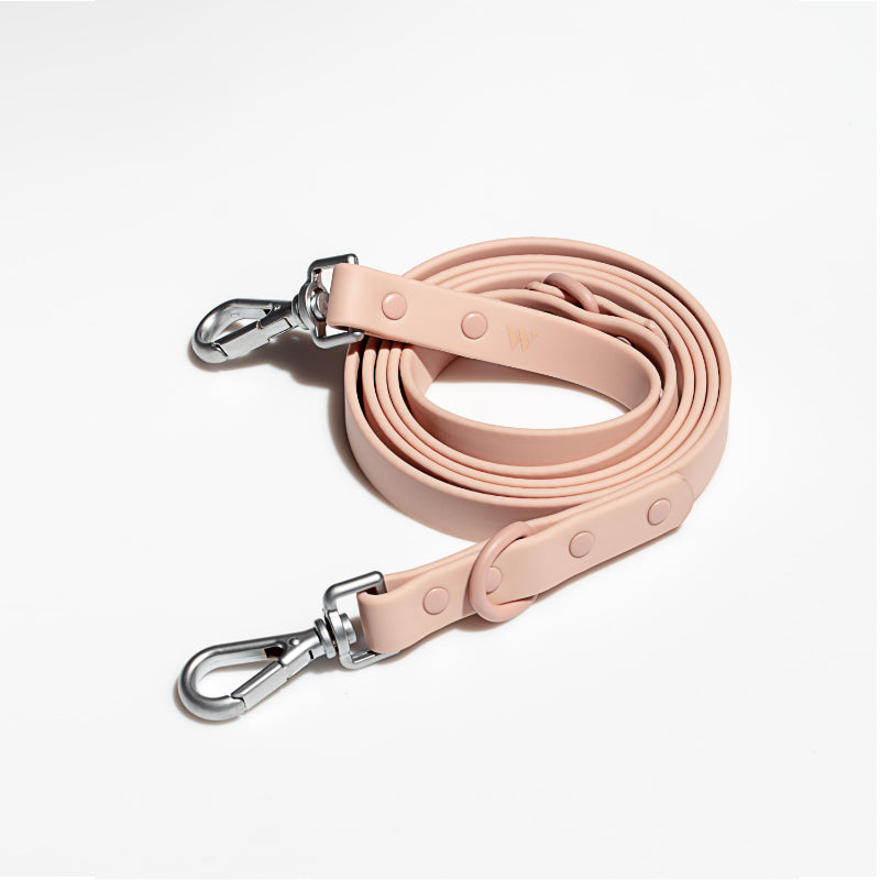 Laisse Imperméable Macaron pour Chien — Nylon Enduit Élastique