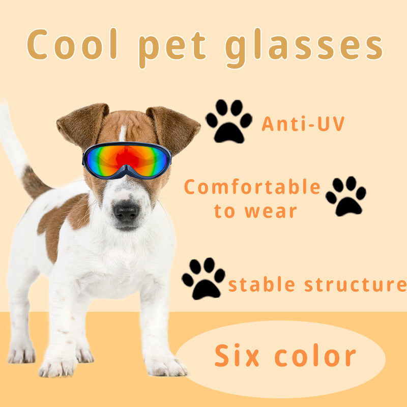 Lunettes de soleil pour chats – Anti-vent & tendance