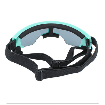 Goggles UV pour chiens – Protection soleil, style casual