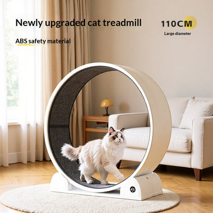 Tapis Roulant Électrique pour Chat – Affichage Digital, ABS