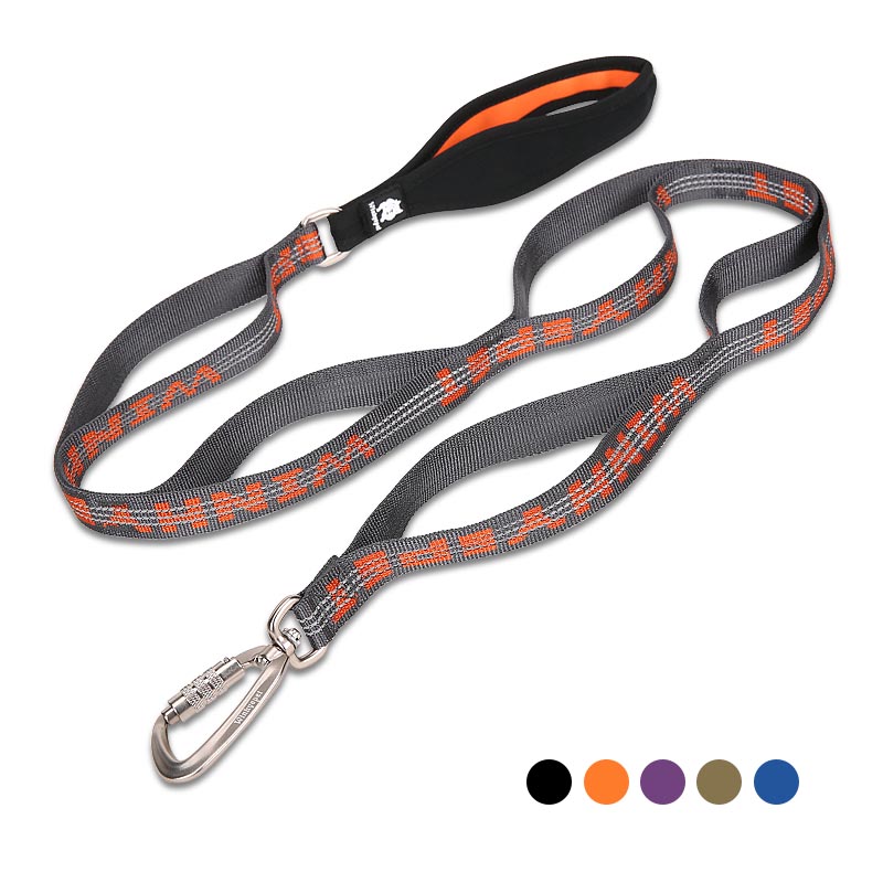 Laisse Nylon Bicolore pour Chien — Tailles M & L