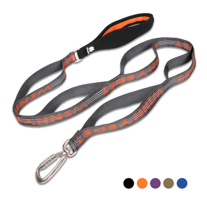 Laisse Nylon Bicolore pour Chien — Tailles M & L