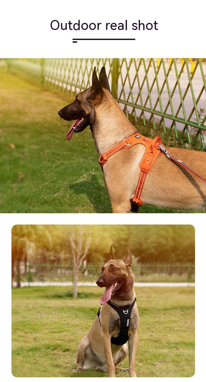 Harnais Réfléchissant avec Laisse pour Chien — Polyester | XS à XL