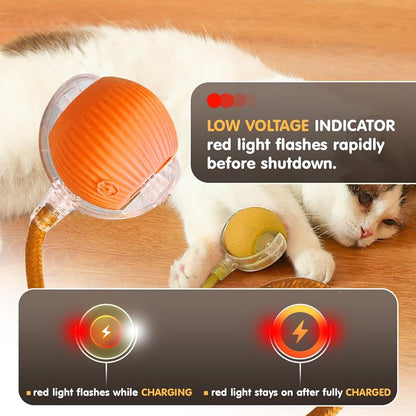 Balle Interactive Intelligente pour Chat & Chien — 3 Modes, Capteur & Recharge Rapide