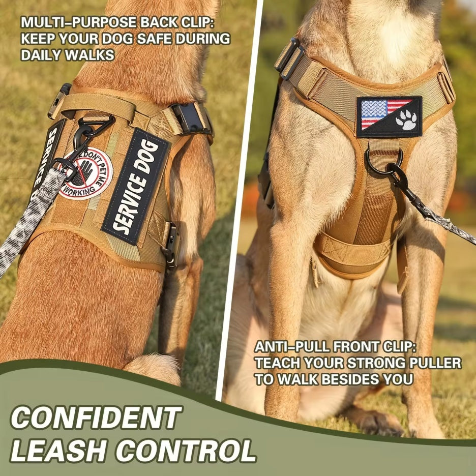 Gilet Harnais Tactique Réfléchissant pour Chien — Boucle Métallique