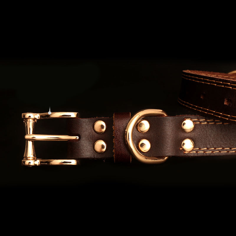 Collier en Cuir Véritable avec Plaque Gravée pour Chien — Personnalisable